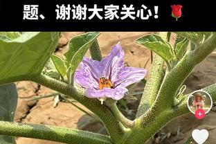 凉茶！普尔梦游23分钟 4中0拿到2分4犯规